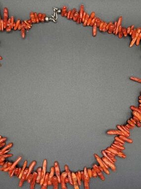 Red Branch Coral Chip Necklace